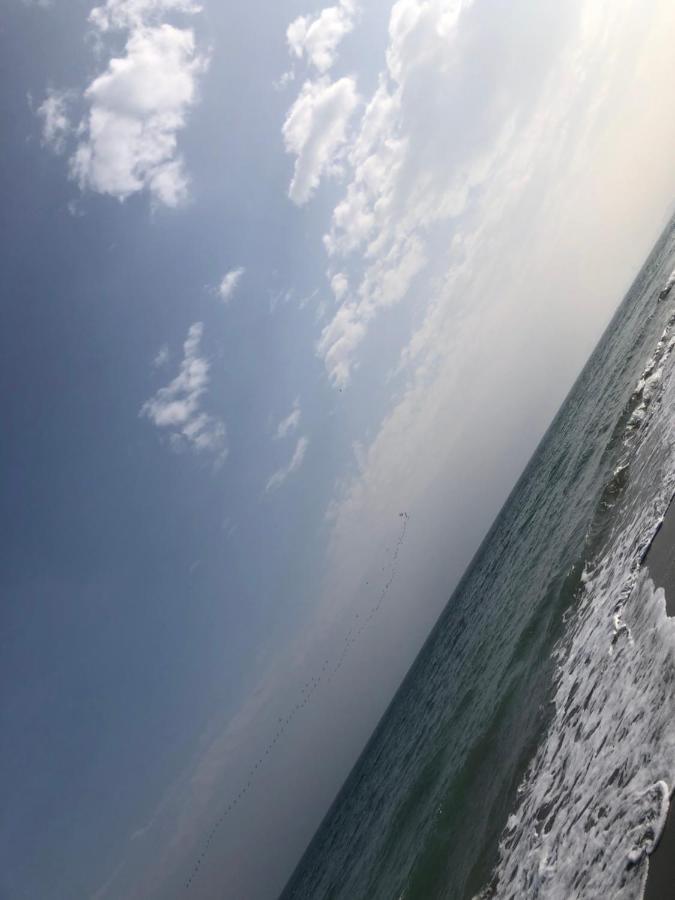 Virgo Apartaments Summer Land 马马亚 外观 照片